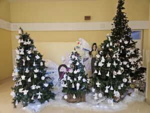 20251222_081621_resize_resize