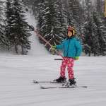 svn_crna_2018_cet-37