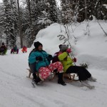 svn_crna_2018_sre-12